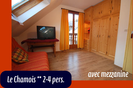 Le Chamois, appartement en location a la Grave